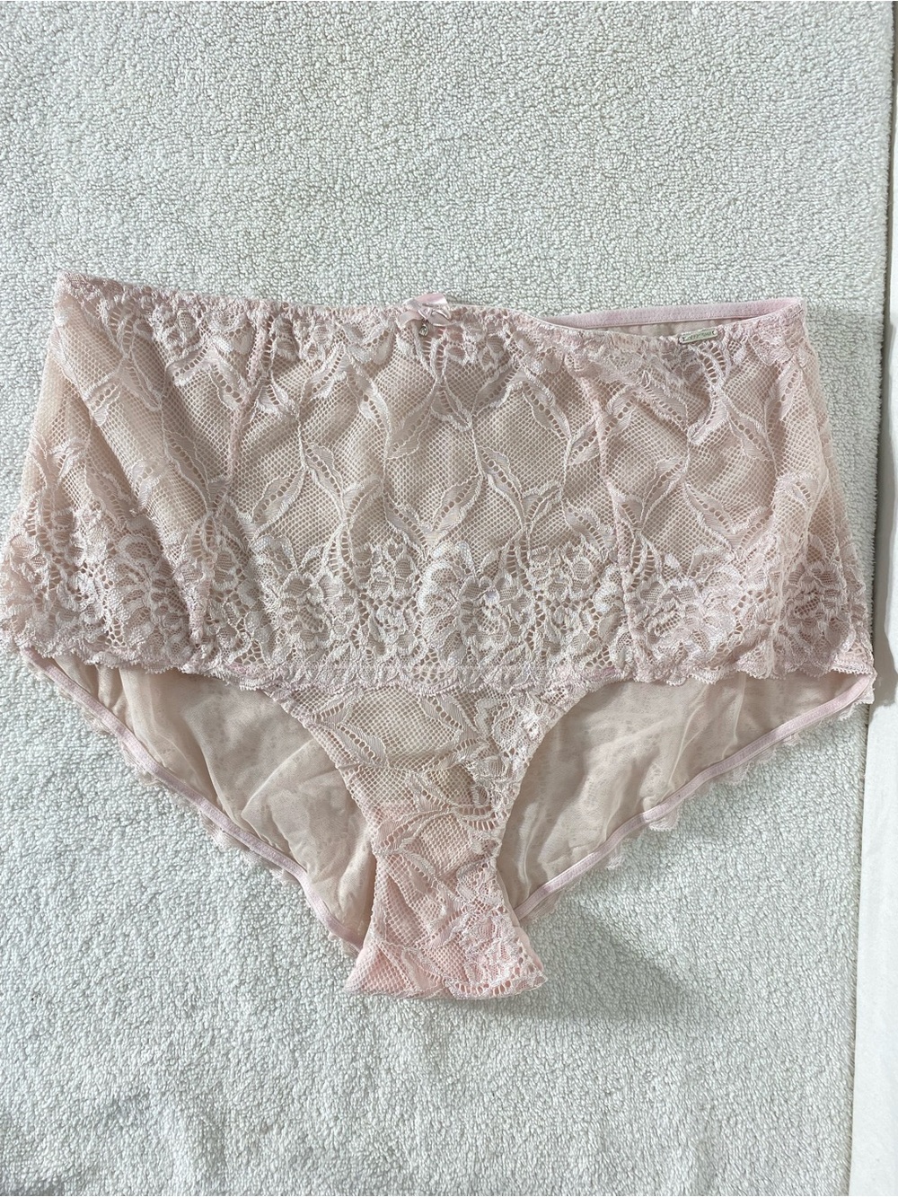5/$25 La Vie En Rose Blush Pink High Waist Lace Briefs Panties Lingerie XL